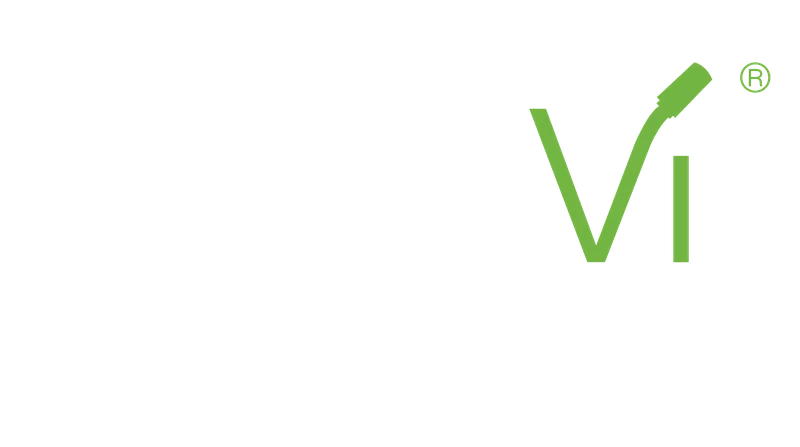 Logo NANOVI